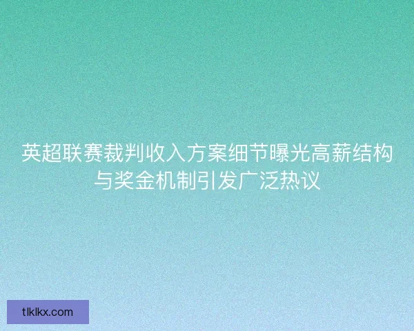 英超联赛裁判收入方案细节曝光高薪结构与奖金机制引发广泛热议